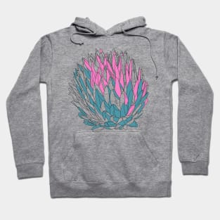 Colorful cacti for plant and succulent lovers Hoodie